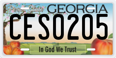 GA license plate CES0205