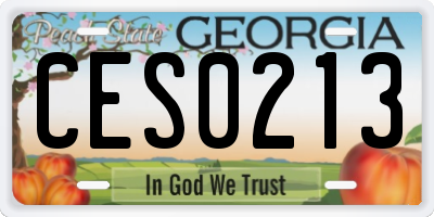 GA license plate CES0213