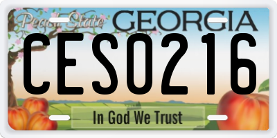 GA license plate CES0216