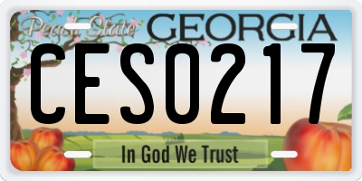 GA license plate CES0217