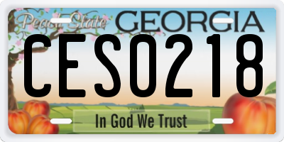 GA license plate CES0218