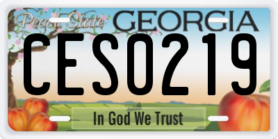GA license plate CES0219
