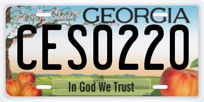 GA license plate CES0220