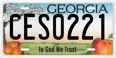 GA license plate CES0221