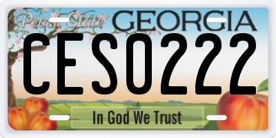 GA license plate CES0222
