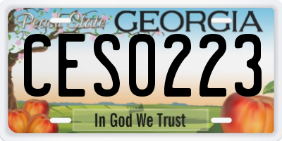 GA license plate CES0223