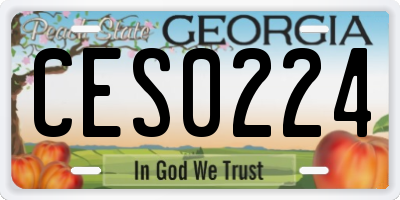 GA license plate CES0224