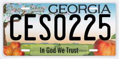 GA license plate CES0225
