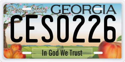 GA license plate CES0226