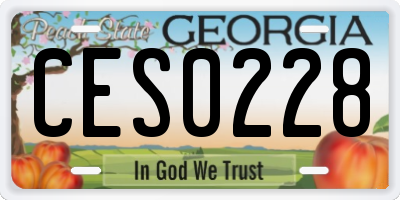GA license plate CES0228
