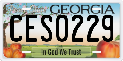 GA license plate CES0229