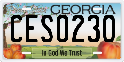 GA license plate CES0230