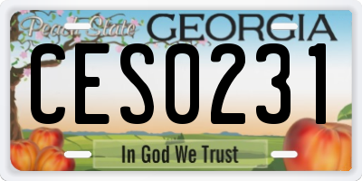 GA license plate CES0231