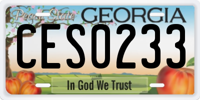 GA license plate CES0233