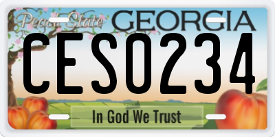 GA license plate CES0234