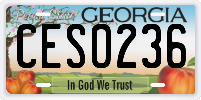 GA license plate CES0236