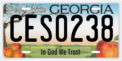 GA license plate CES0238