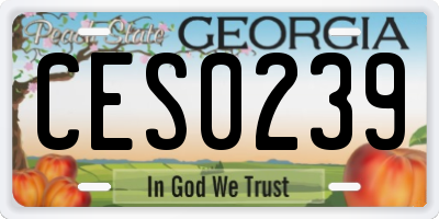 GA license plate CES0239