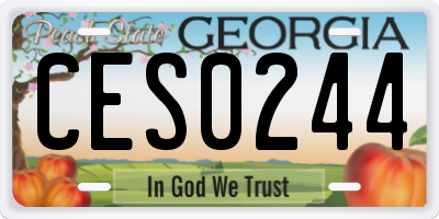 GA license plate CES0244