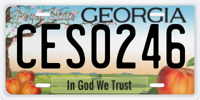 GA license plate CES0246