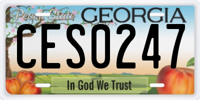 GA license plate CES0247
