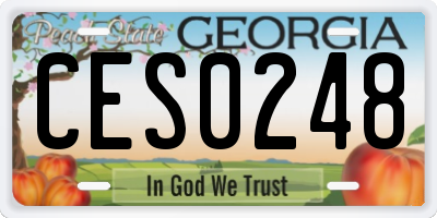 GA license plate CES0248