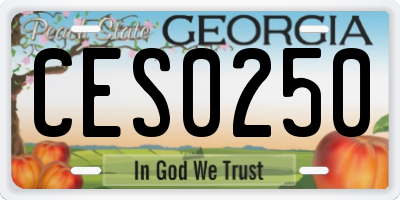 GA license plate CES0250