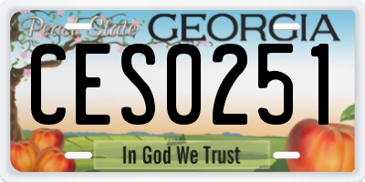GA license plate CES0251