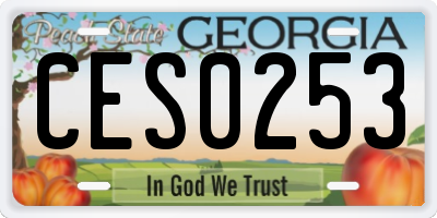 GA license plate CES0253