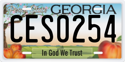 GA license plate CES0254