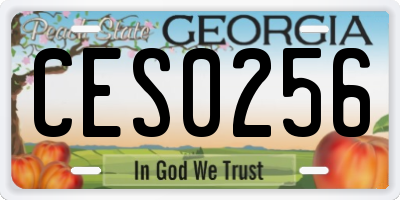 GA license plate CES0256