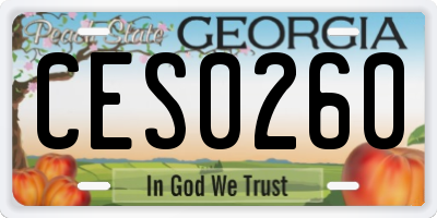 GA license plate CES0260