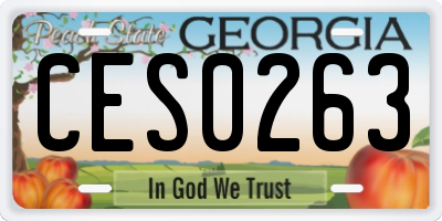 GA license plate CES0263