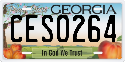 GA license plate CES0264
