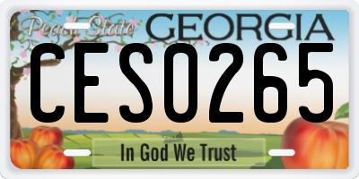 GA license plate CES0265