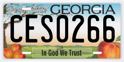GA license plate CES0266