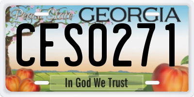 GA license plate CES0271