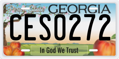 GA license plate CES0272