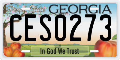 GA license plate CES0273