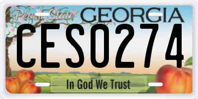 GA license plate CES0274