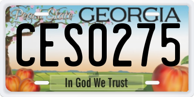 GA license plate CES0275