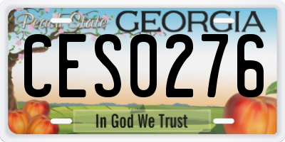 GA license plate CES0276