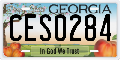 GA license plate CES0284