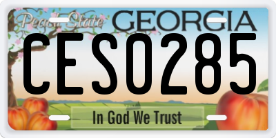 GA license plate CES0285
