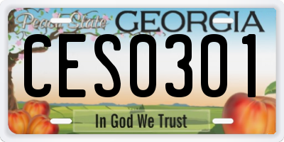 GA license plate CES0301