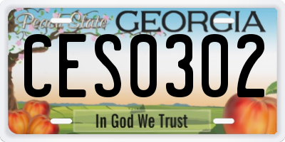 GA license plate CES0302
