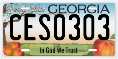 GA license plate CES0303