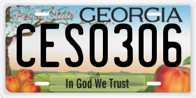 GA license plate CES0306