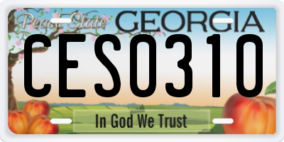 GA license plate CES0310