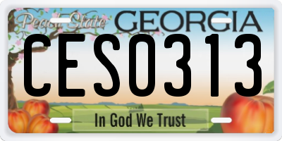 GA license plate CES0313